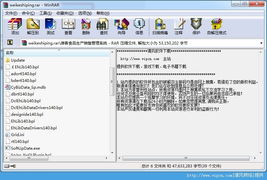 维客食品生产销售管理系统 2010绿色版软件功能与应用指南
